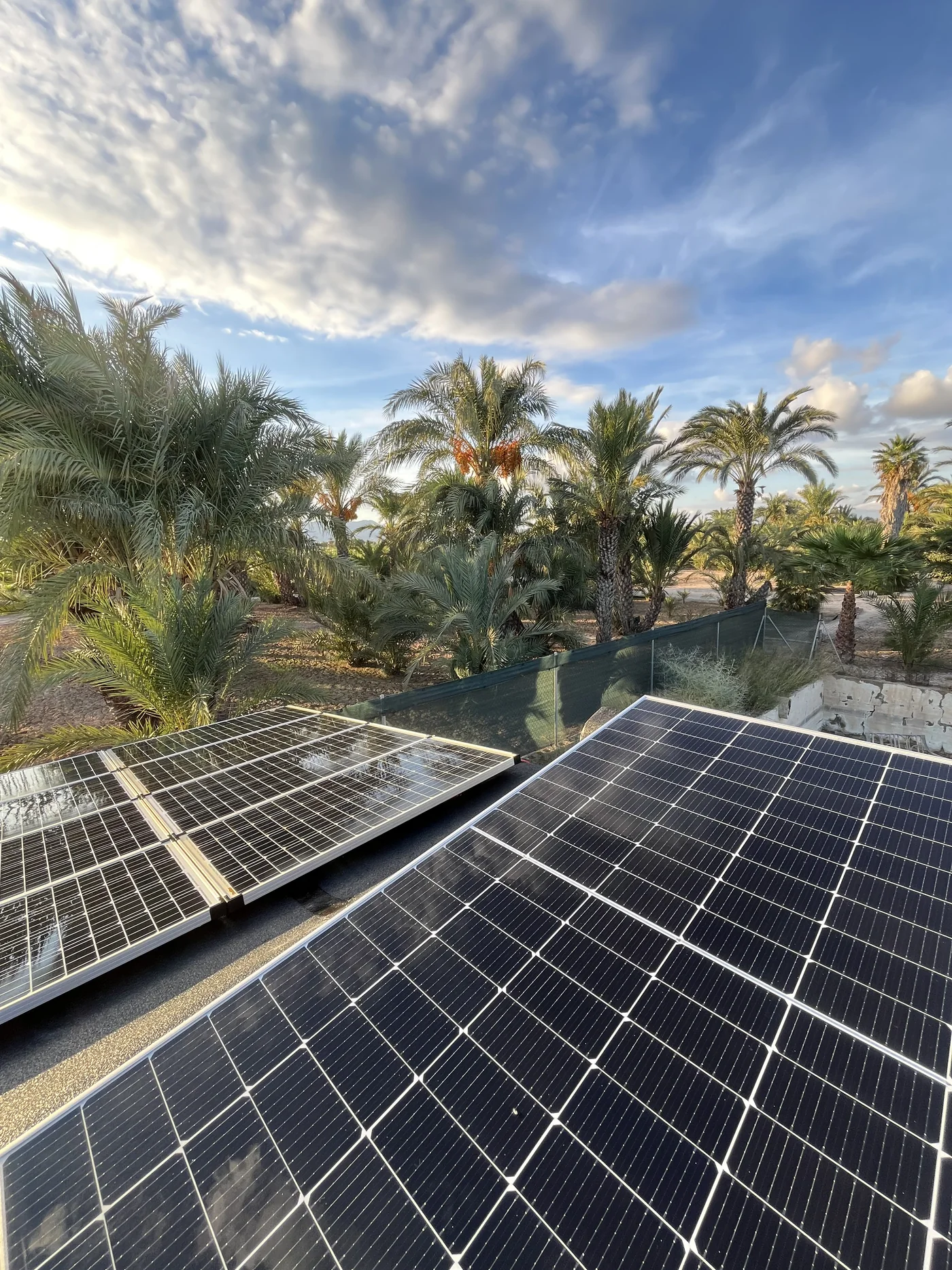 Photovoltaikmodule auf unserer eigenen Offgrid-Finca mit Palmen im Hintergrund