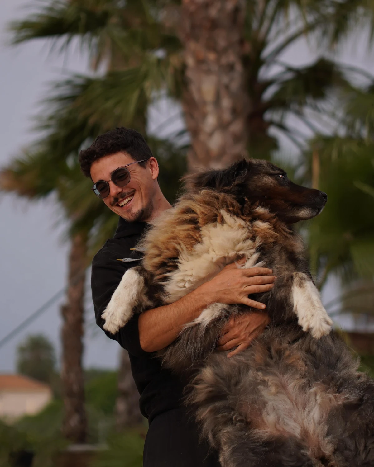 Marc, Gründer von Domingo Energy, mit einem Hund vor Palmen an der Costa Blanca